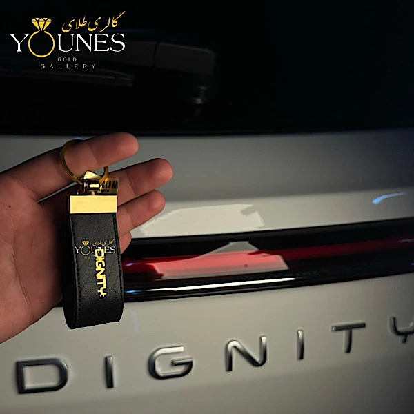 جاسوییچی چرم ماشین دیگنیتی Dignity Prime